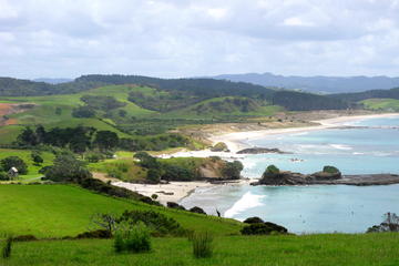 Private Full-Day Tour to Tawharanui Regional Park from Auckland
