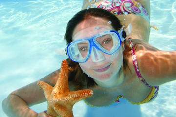 Key West Snorkeling