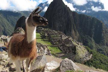 Budget Machu Picchu by car