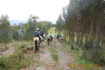 Half-Day Horseback Riding Tour from Cusco