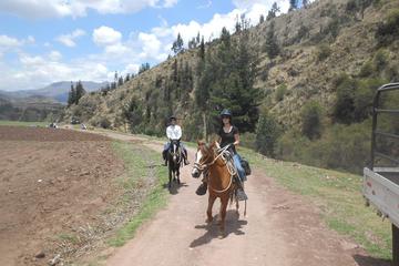 Horseback Riding Cusco: Experience the Peruvian Paso Horses