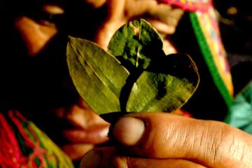 Shamanic Healing Trifecta of Ceremonies