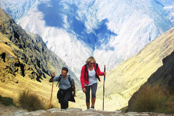 Short Inca Trail 1 day (with Machu Picchu citadel)
