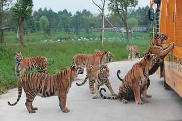 Badaling Wildlife World Private Tour from Beijing