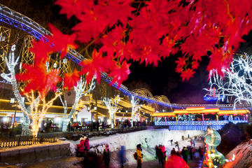 Seasonal Offer: Independent Tour to Yanqing Ice Lanterns Festival with Private Transfer