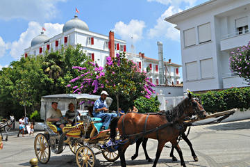 Princess Island Tour ( Büyük Ada)