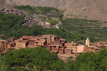 Atlas Mountains including Camel Ride and Berber Guest House Day Tour from Marrakech