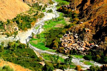 Ourika And 3 Valleys and villages  Atlas Mountains all inclusive Private day Trips