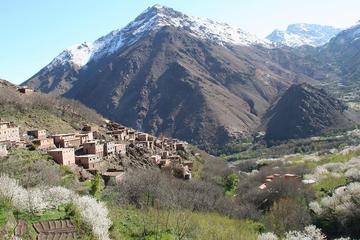 Private Day Tour: Berber Villages and Atlas Mountains from Marrakech
