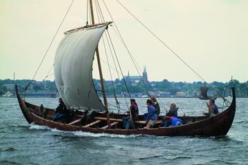 Gran tour giornaliero di Copenaghen