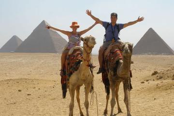 Sunset Camel or Horse Ride by the Giza Pyramids