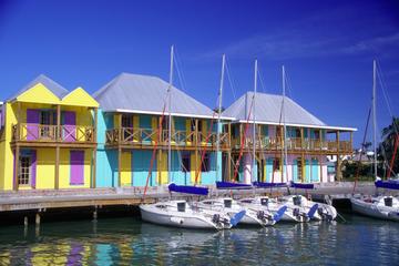 Antigua Shore Excursion: City of St John's Sightseeing Tour