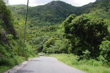 Island Safari Adventure