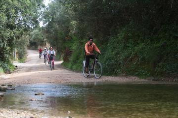Small-Group Adventure: Cycling in Ria Formosa Natural Park