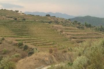 PRIORAT PRIVATE WINE TOUR