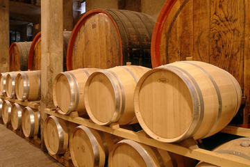 Valdobiaddene Sparkling Wine Tour from Venice