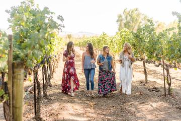 Full-Day Tri-Valley Wine Tasting and Shopping Tour from San Francisco