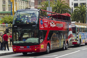 Viator Exclusive: San Francisco Hop-on Hop-off Plus Bike & Bay Cruise