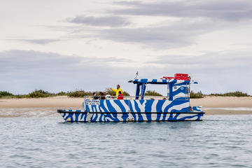 Ilha Deserta - Guided Nature Tour - Ria Formosa