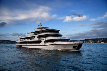 Crucero con cena por la tarde en el Bósforo desde Estambul