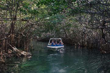 Adventure Mangrove Channels: Driving your Own Speedboat
