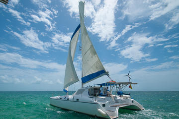 Afternoon Half Day Catmaran Sailing Adventure
