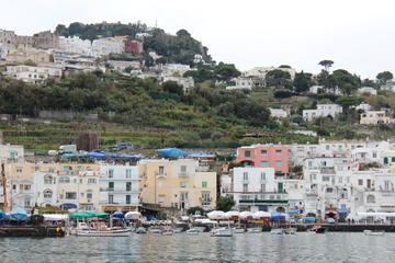 Pompeii, Sorrento and Capri Private Day Trip with Driver and Local Guide