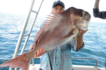 Gold Coast Half-Day Fishing Charter