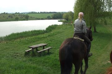 Horse riding near Budapest