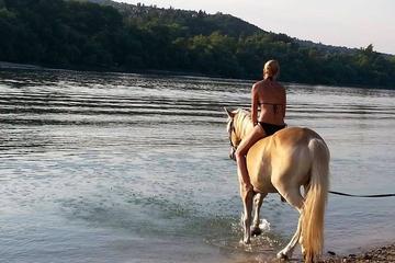Private Horse Riding near Budapest with Lunch