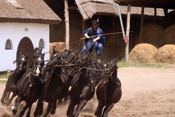 Private tour with horse show followed by carriage ride and lunch near Budapest