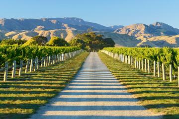 Full-Day Marlborough Wine Tour Including Wine Tasting