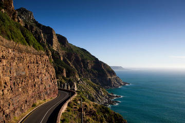 Cape Peninsula Guided Private Day Trip from Cape Town