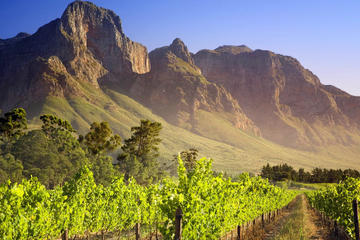 Cape Winelands Guided Private Day Tour
