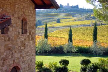 Day Trip from Florence: Exclusive Chianti Wine Tour with a driver-guide