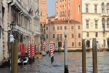 Shore Excursion: Venice Exclusive Private walking tour with a licensed tour guide (No Groups)