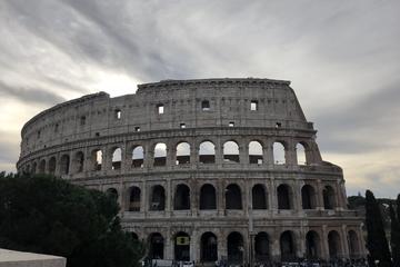 Skip the Line: Colosseum & Ancient Rome Private & Family Tour (no more than 8 people)