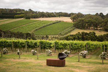 Mornington Peninsula Discovery Wine Tasting and Lunch