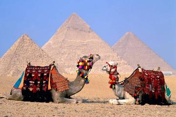 Cairo private guided day tour to Giza Pyramids and Sphinx