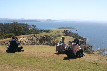 Maria Island Active Day Trip from Hobart