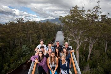 Tahune Airwalk Active Day Trip from Hobart Including Hastings Caves