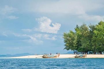 Phi Phi Bamboo Island By Speed Boat Premium Trip