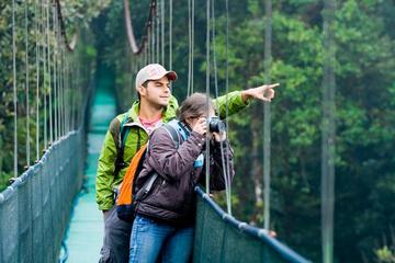 Arenal Volcano Combo 1 Hanging Bridges & Baldi Hot Springs Private Tour