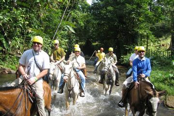 Horseback Riding Adventure at Turubari Eco Park and Rainforest Aerial Tram