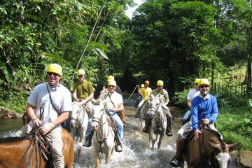 Private Adventure Combo with Whitewater Rafting and Horseback Ride