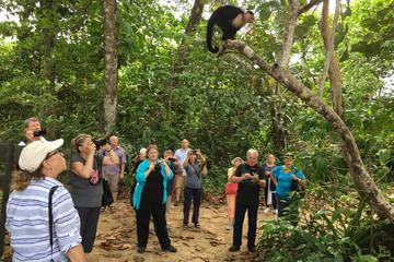 Private Tour Limon HIghlights 6 in 1