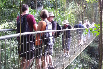 Rainforest Skywalk and Tarcoles River Eco Cruise Tour