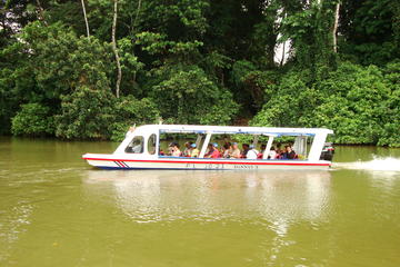 Shore Excursion: Tortuguero Canal Eco Cruise and Banana Plantation