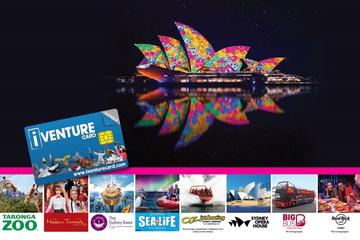 Sydney Combo: VIVID Dinner Cruise and Sydney Attraction Pass