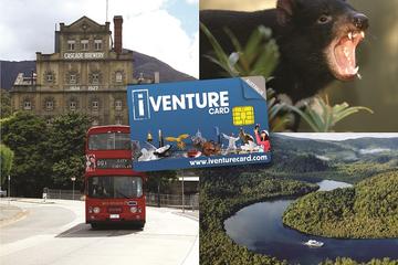 Tasmania Sightseeing Pass:3-Day Flexi Card